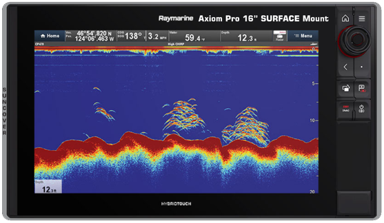 Raymarine